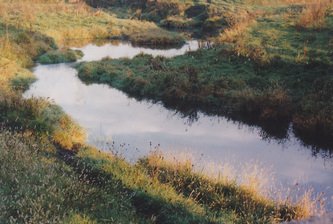 Plum River Farm