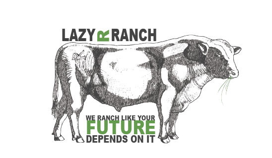 Lazy R Beef