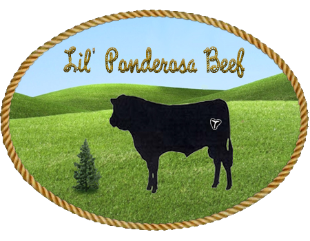 Lil’ Ponderosa Beef