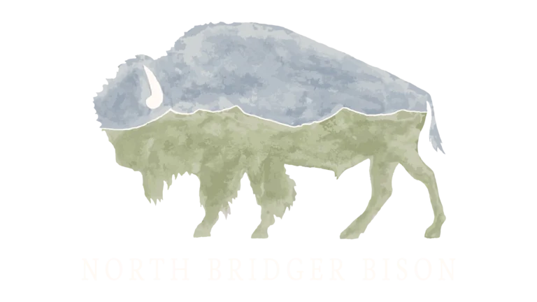 North Bridger Bison