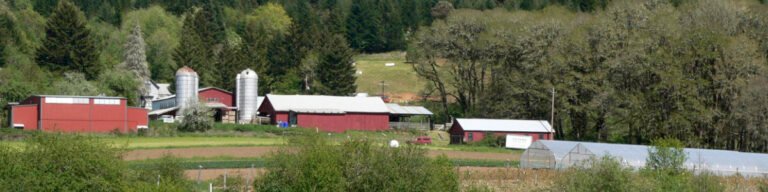 Winter Green Farm