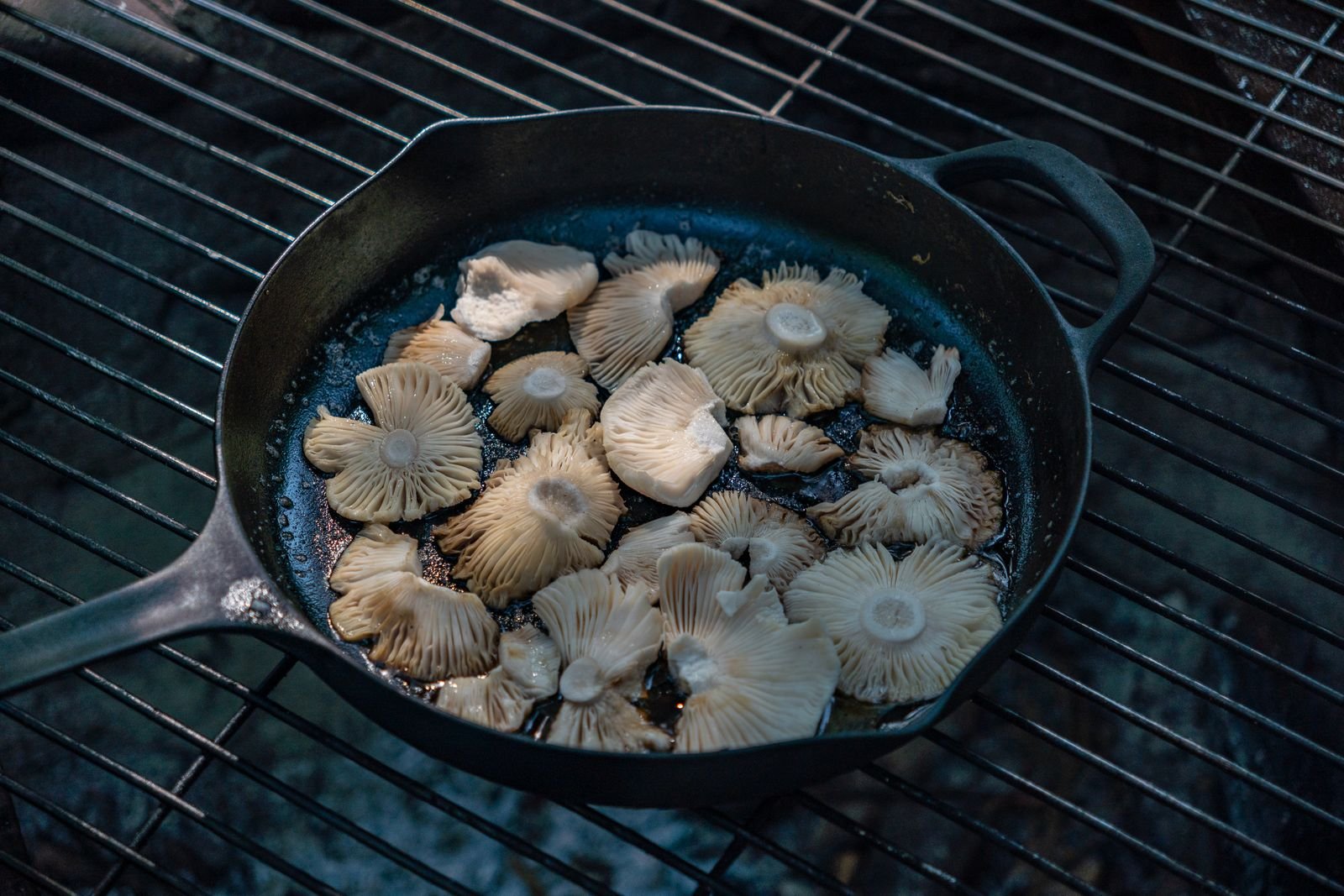 Fresh mushrooms browning in a dry cast iron skillet for shepherds pie filling