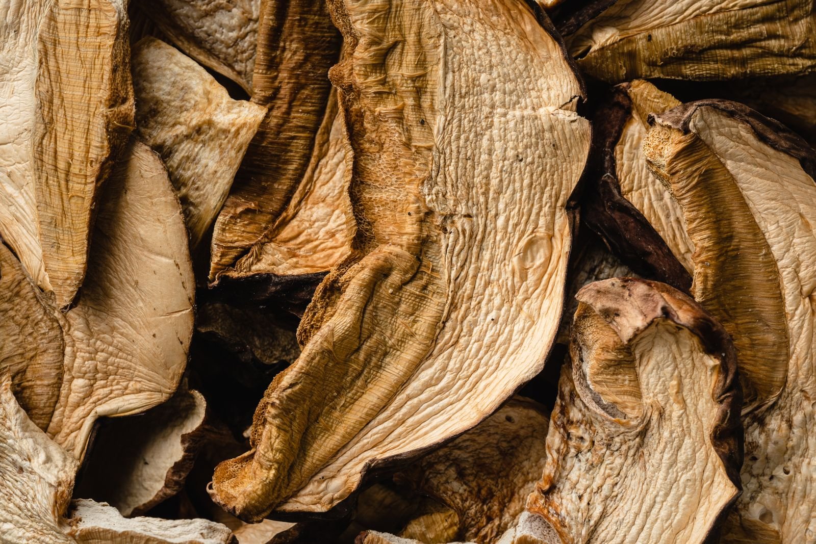 Dried porcini mushrooms close up before soaking for a pork ragu