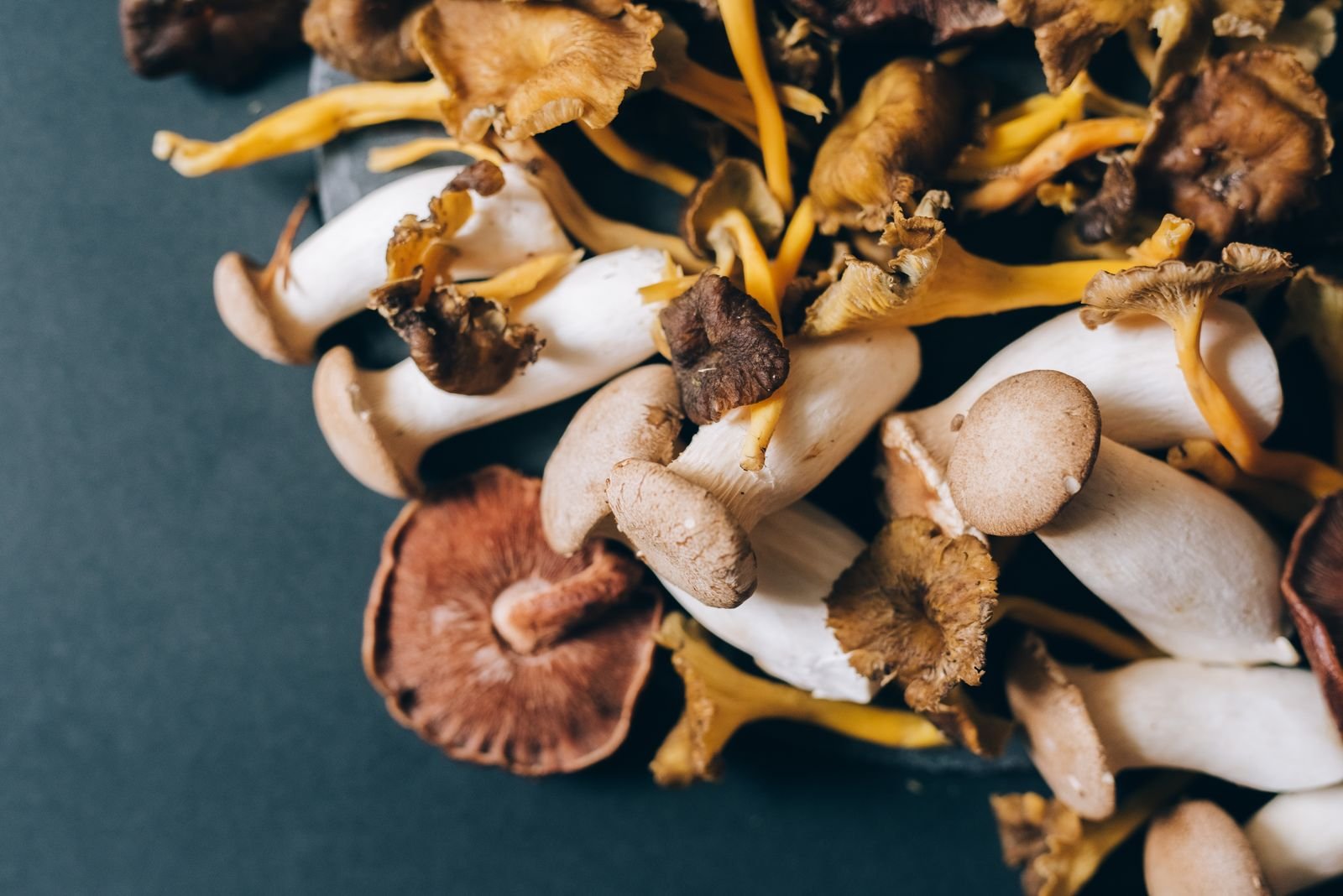 Dried porcini and mixed dried mushrooms before soaking for a white ragu