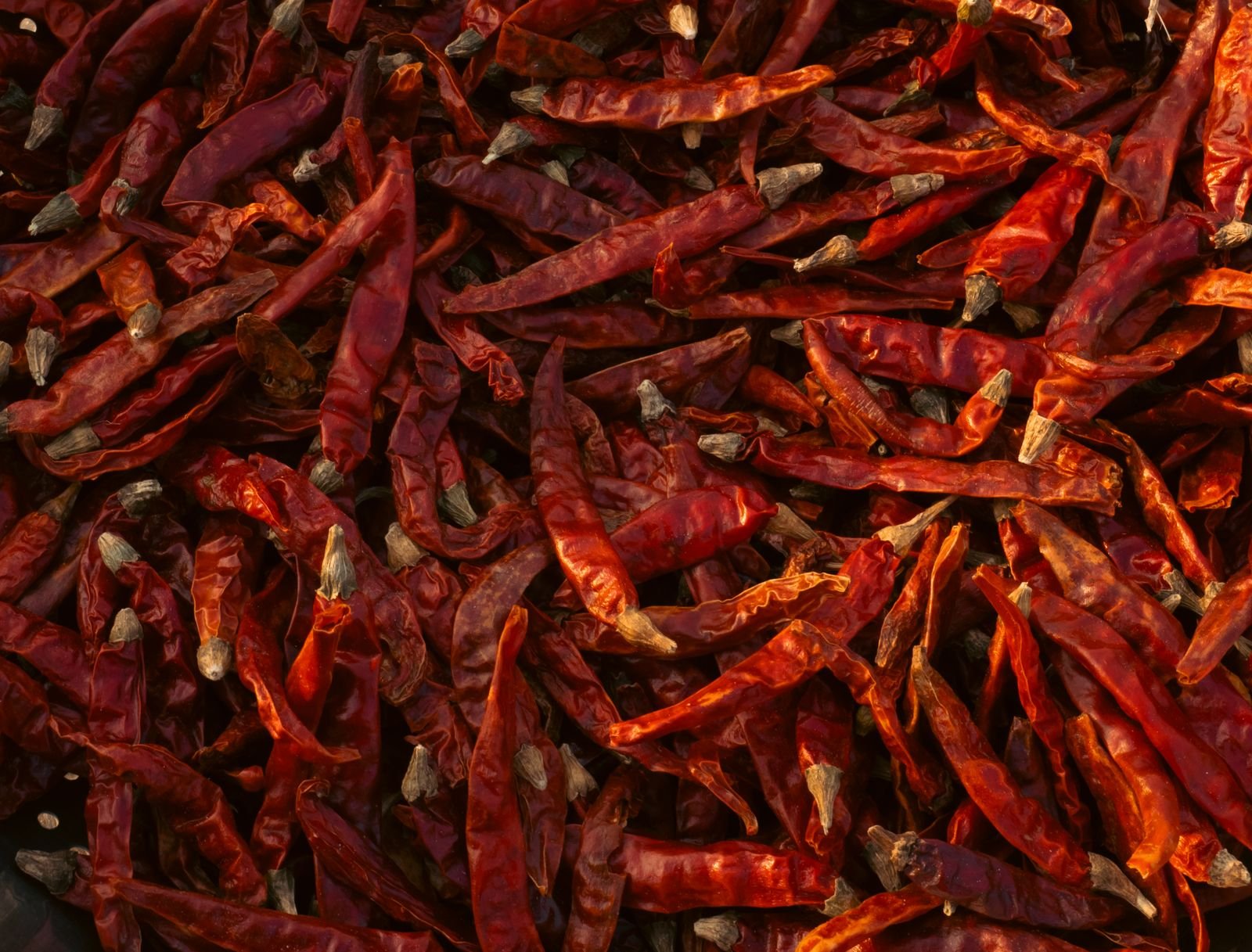 Pile of dried red chiles, close up