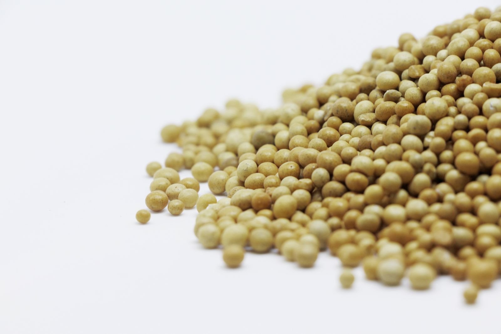 Pile of whole mustard seeds on a white surface