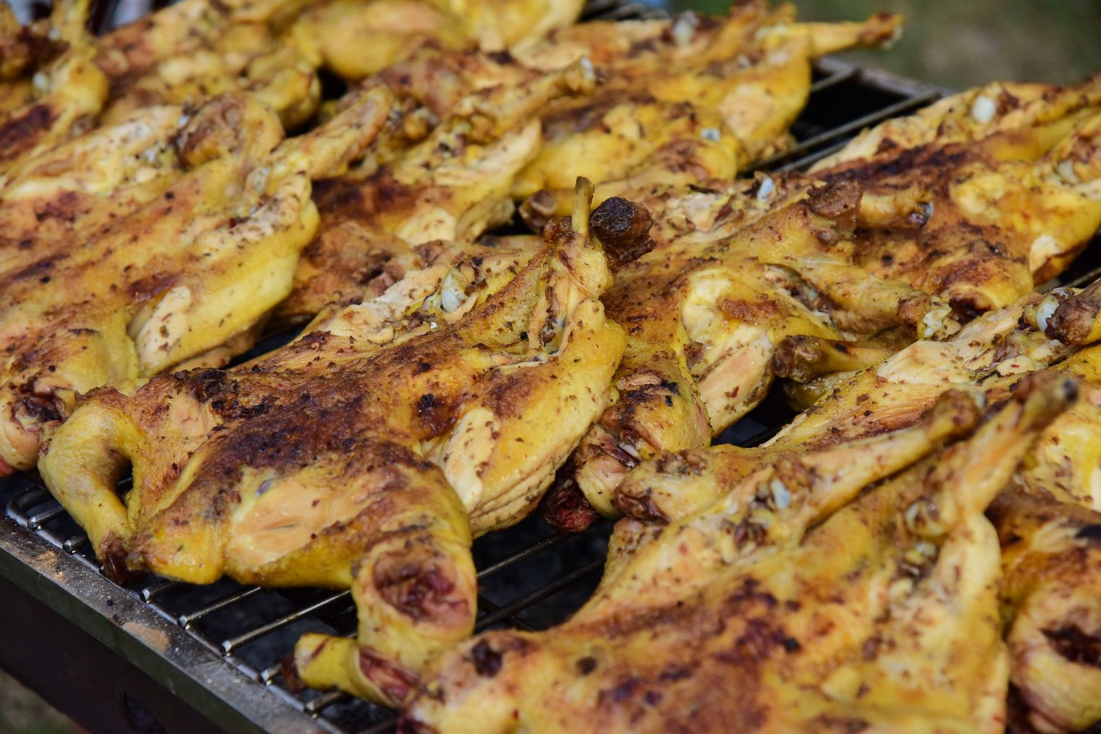 Two spatchcocked chickens lying flat and browning on a barbecue grill